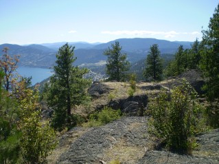 Looking to the south east from the peak, Pincushion Mtn 2011-08.